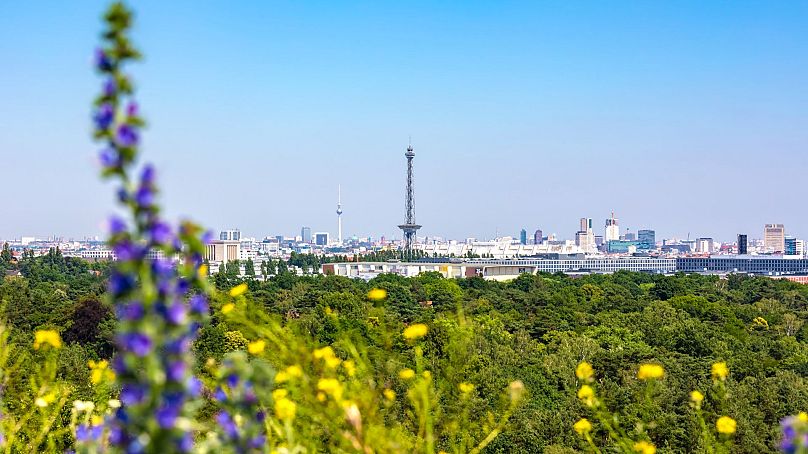 Grunewald est le plus grand espace vert de Berlin.