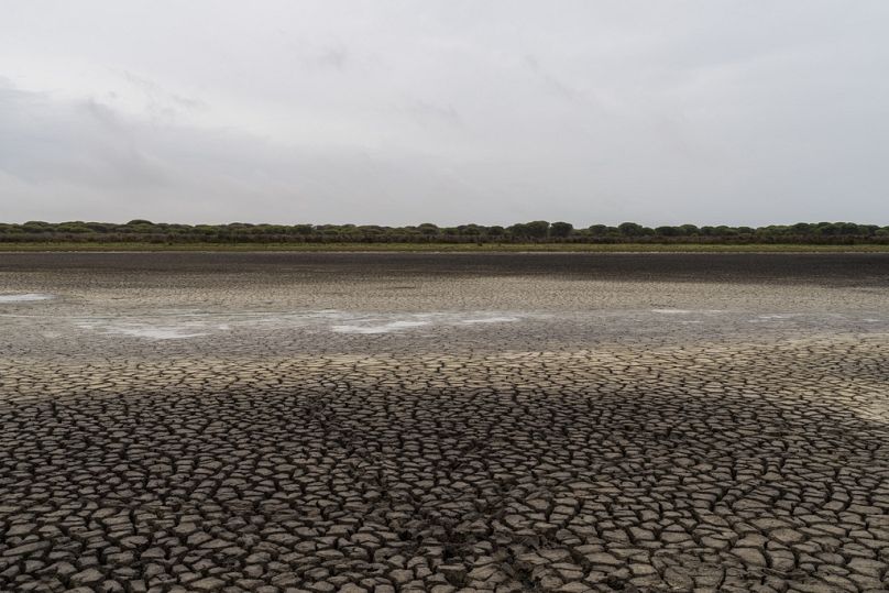 Des fissures dans la boue sont observées dans une zone humide sèche du parc naturel de Donana, dans le sud-ouest de l'Espagne, le mercredi 19 octobre 2022.