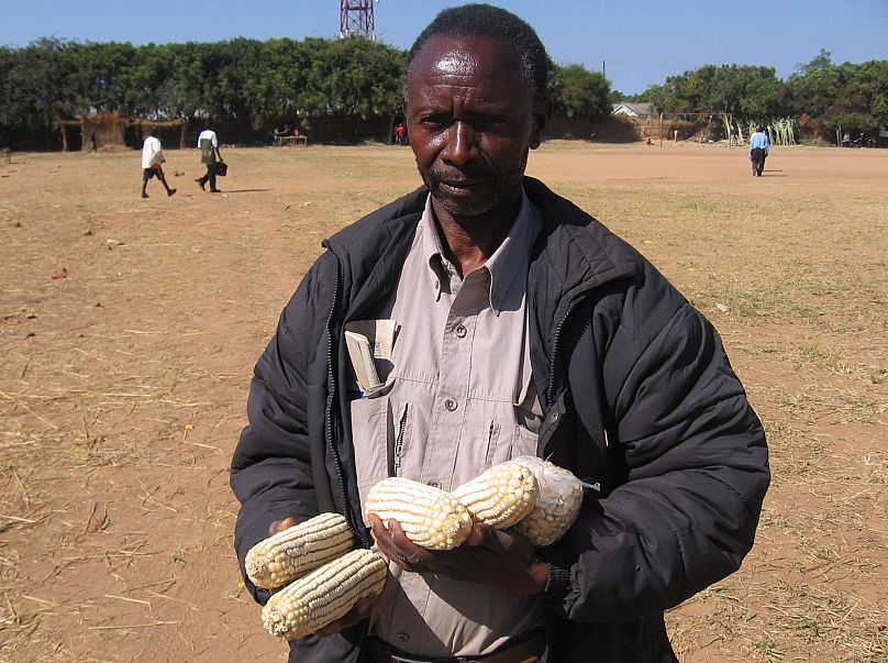 Un agriculteur zambien conserve une partie de son maïs provenant de mauvaises récoltes à Pemba, en Zambie, en juin 2007.