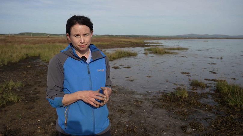 Grace Cott, écologiste des zones humides côtières, University College Dublin