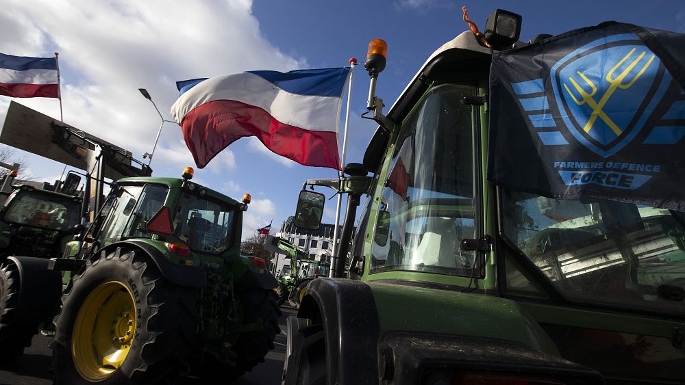 L’objectif de réduction de l’azote s’avère controversé pour les agriculteurs lors des élections néerlandaises