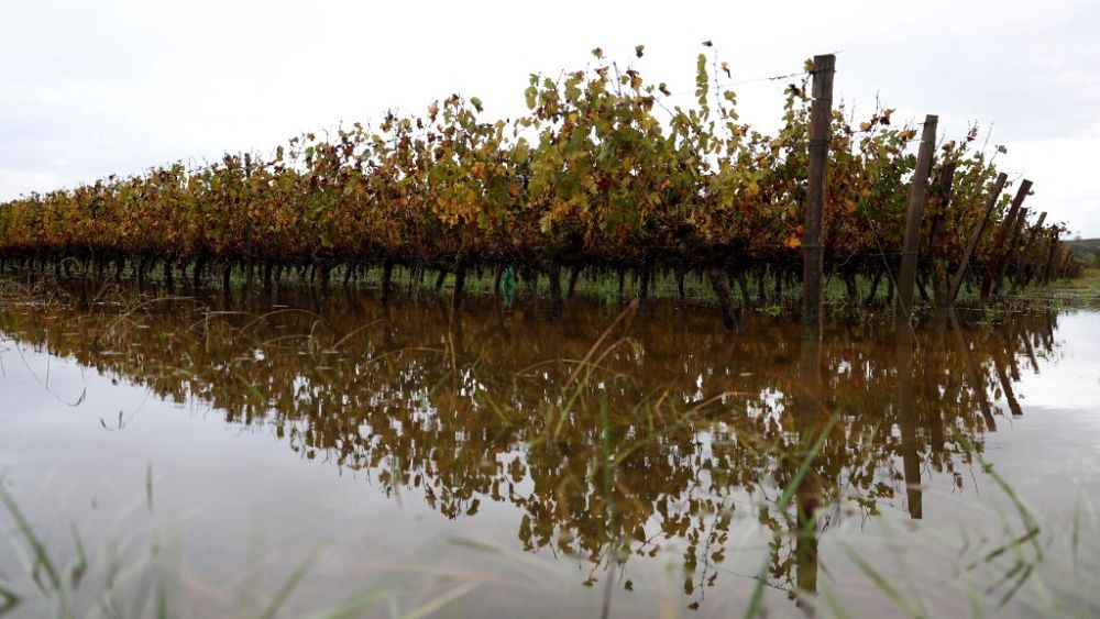 Tempête Ciarán, sécheresse et inondations : les catastrophes liées au climat pourraient faire monter les prix des assurances en France