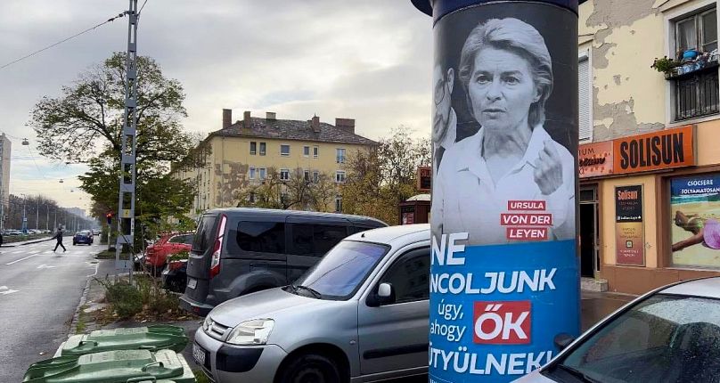 Les affiches ont été placardées dans les villes hongroises, notamment à Budapest.