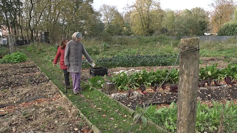 Les habitants cultivent une « forêt alimentaire » dans laquelle ils ont planté des fruits et des légumes parmi les arbres et arbustes.