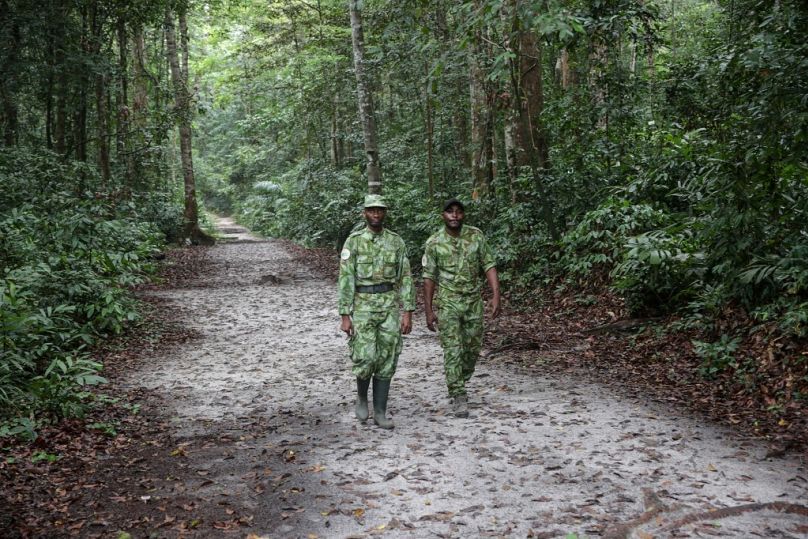 Deux gardes forestiers marchent sur une route de la forêt d'Akanda, un parc national situé à quelques kilomètres du centre-ville de la capitale, Libreville, septembre 2019