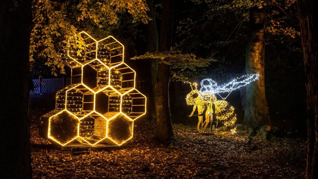 A sparkly bee and honey comb at Parisian light festival, Lumieres en Seine