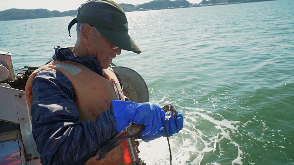 Après le tsunami : les communautés de pêcheurs du Japon se tournent vers l'avenir