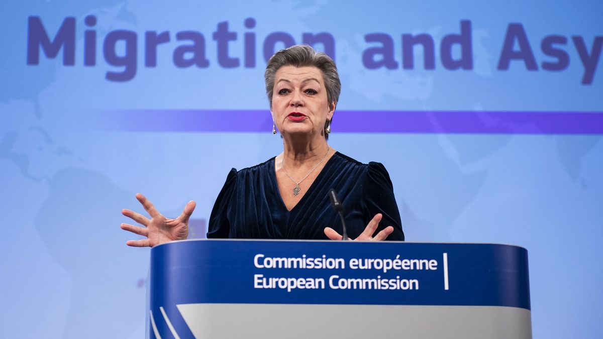 Ylva Johansson, the European Commissioner for home affairs, said that under the New Pact no member state would be