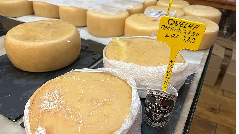 Des meules de fromage de brebis traditionnel de la région de Serra da Estrela au Portugal sont présentées à la vente à la taverne Mercado Nacional à Belmonte, au Portugal, le 17 septembre 2023.