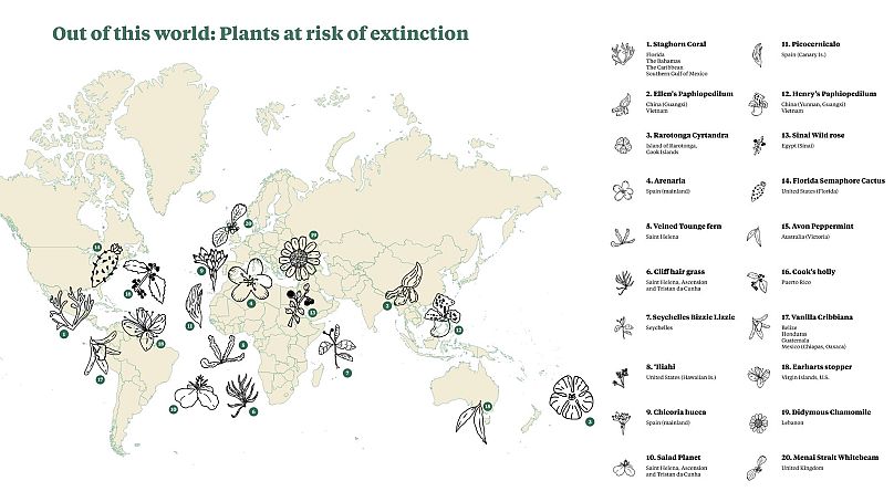 Toutes les plantes menacées d'extinction