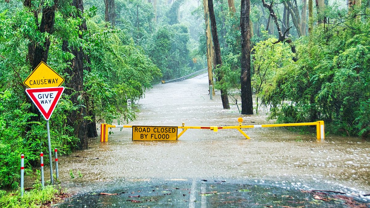 The report calls for world leaders of developed countries to channel more funding into climate finance.