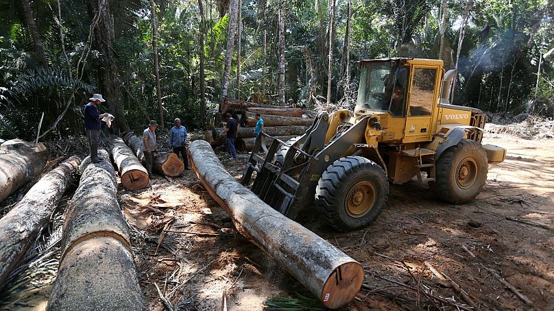 Un employé conduit un tracteur dans la zone de déforestation de Bom Retiro, sur le côté droit de l'autoroute BR 319, près de Humaita, dans l'État d'Amazonas, au Brésil, en septembre 2019.