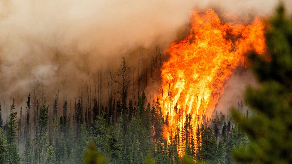 Le monde est en passe de dépasser régulièrement 1,5°C d’ici sept ans, selon le budget carbone mondial