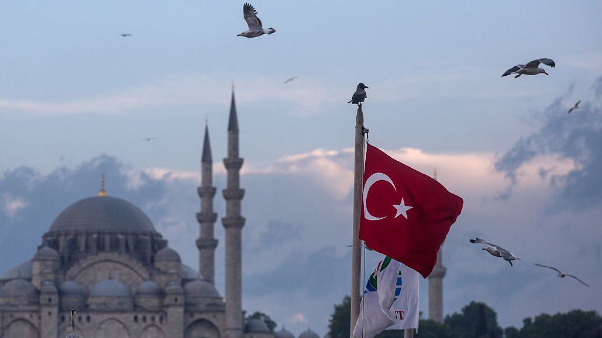 Seagulls fly over a Turkish flag in Istanbul Turkey - one of the cities where arrests were made