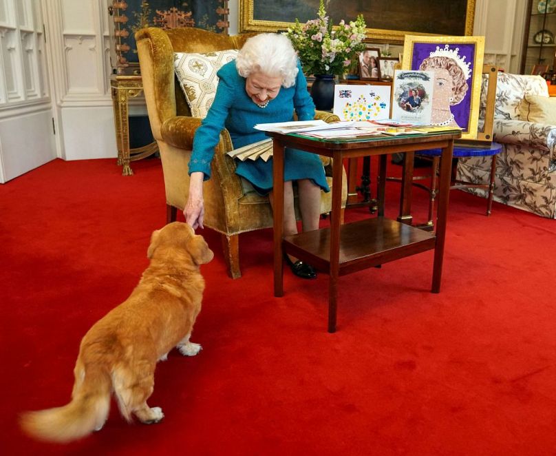 La défunte reine Elizabeth II de Grande-Bretagne, à l'âge de 95 ans, caressait Candy, son chien Dorgi