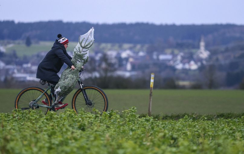 Une femme fait du vélo portant un arbre de Noël, la veille du réveillon de Noël, à Ertingen, en Allemagne,