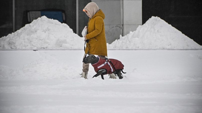 Une femme promène son animal de compagnie après de fortes chutes de neige dans l'ouest de Moscou, le 15 décembre 2023.