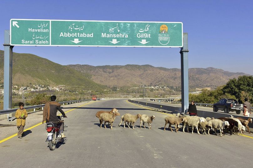 Un motocycliste passe devant des moutons sur une route nouvellement construite à Haripur, au Pakistan, en décembre 2017.