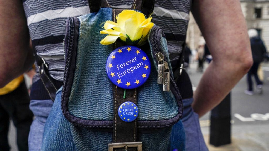 An anti-Brexit protester wears EU badges on her bag, near Parliament Square, in London in 2021