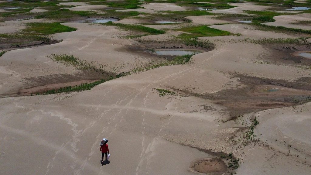 A resident of a riverside community carries food and water distributed due to the ongoing drought in Careiro da Varzea, Amazonas state, Brazil, 24 October 2023.