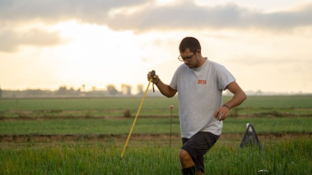 Can Spain’s wetlands adapt to climate change? Researchers at the Institute of Agrifood Research and Technology are finding out.