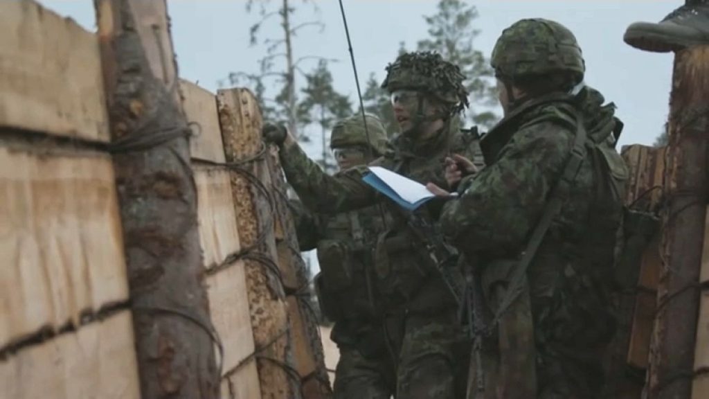 Soldiers at border defences