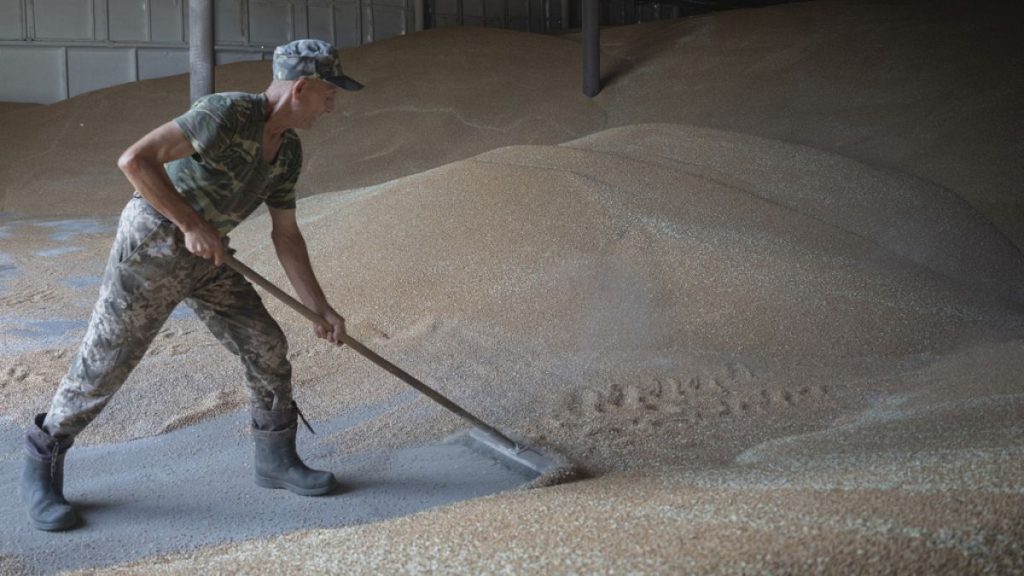 A worker rakes wheat in a granary on a private farm in Zhurivka, Kyiv region, Ukraine,