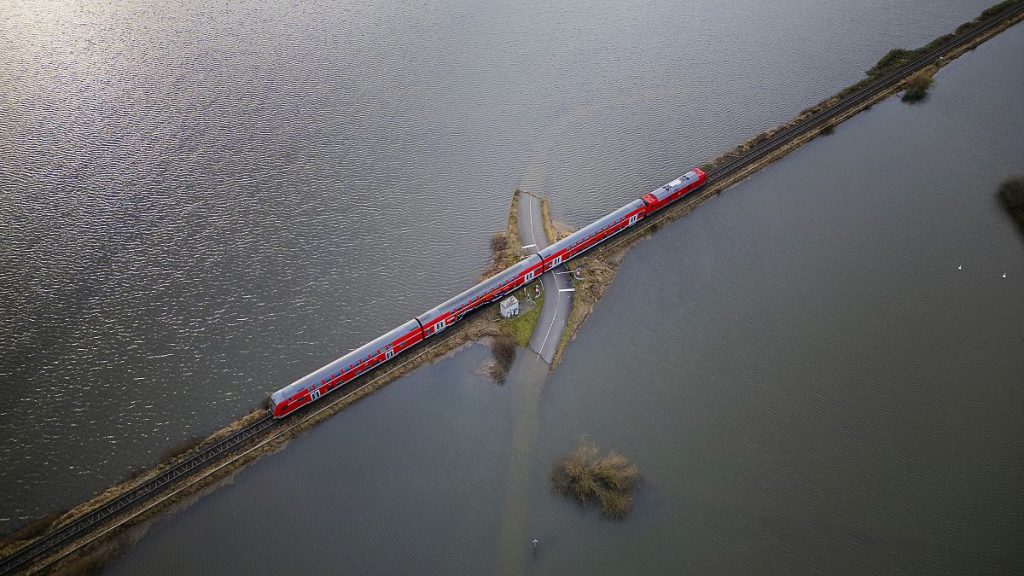 Heatwaves were also responsible for widespread train cancellations, due to problems like buckled rails and fallen overhead power lines.