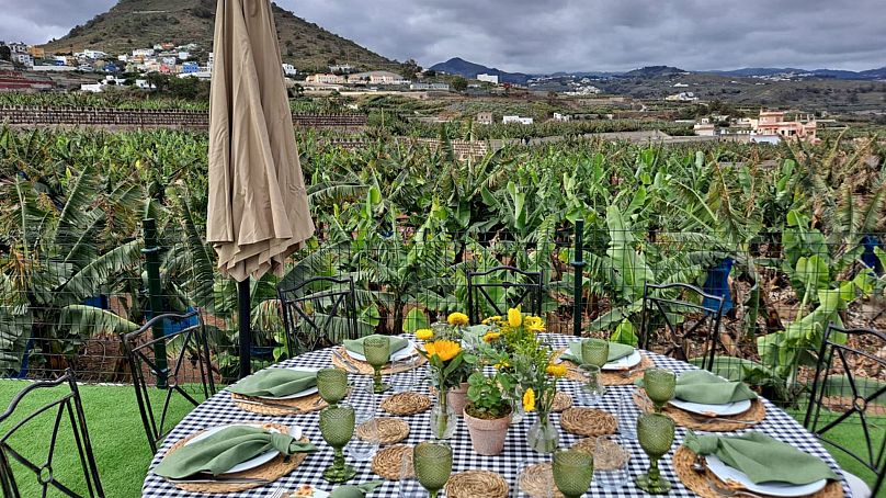 Les produits de Gran Canaria sont souvent cultivés localement, notamment dans une vaste plantation de bananes.