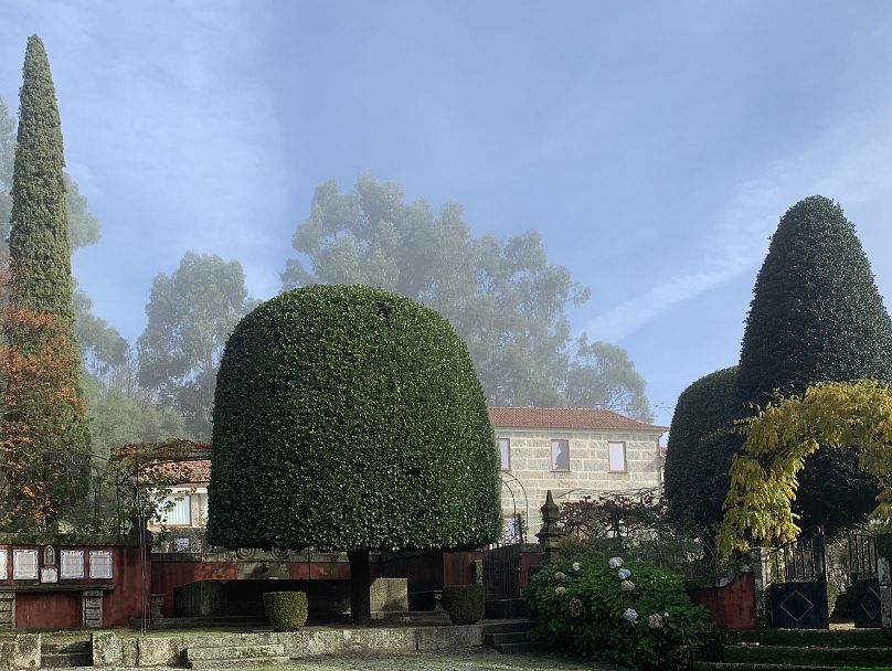 Participation du Portugal au concours européen de l'arbre de l'année.