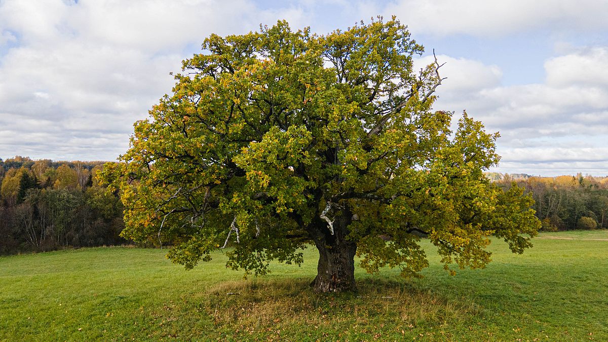 Estonia