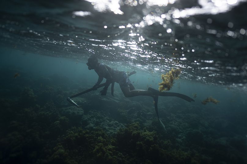 Naiki Vaast pêche sous-marine le long de la barrière de corail à Vairao, Tahiti, Polynésie française.