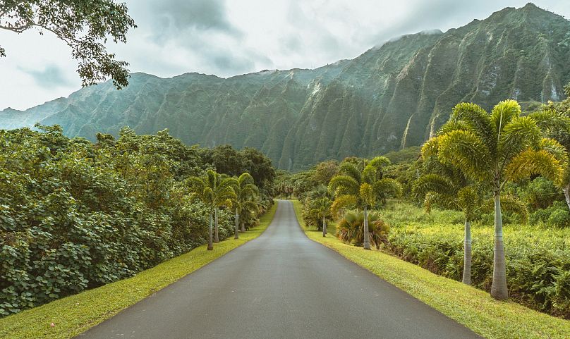 Les îles regorgent de merveilles naturelles comme le jardin botanique Ho'omaluhia à Kaneohe.