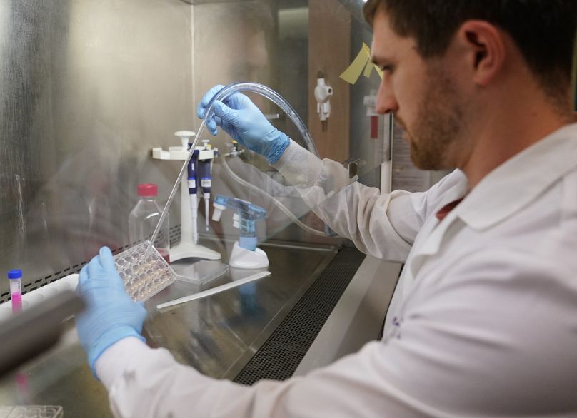 Un chercheur travaille sur des cellules cancéreuses de l’ovaire cultivées sur une plaque en plastique dans un institut de Seattle, en mai 2023.