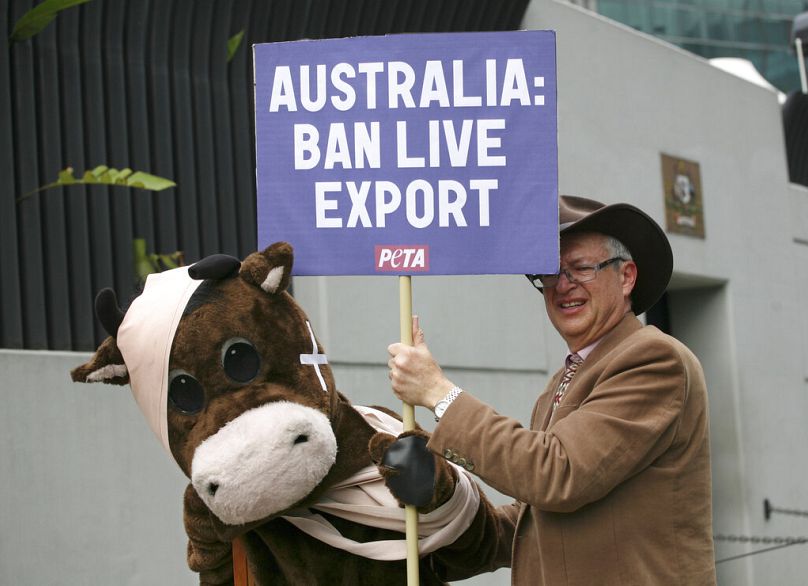 PETA et d'autres militants - comme ceux que l'on voit sur cette photo d'archive - luttent depuis des années contre les exportations d'animaux vivants en Australie.