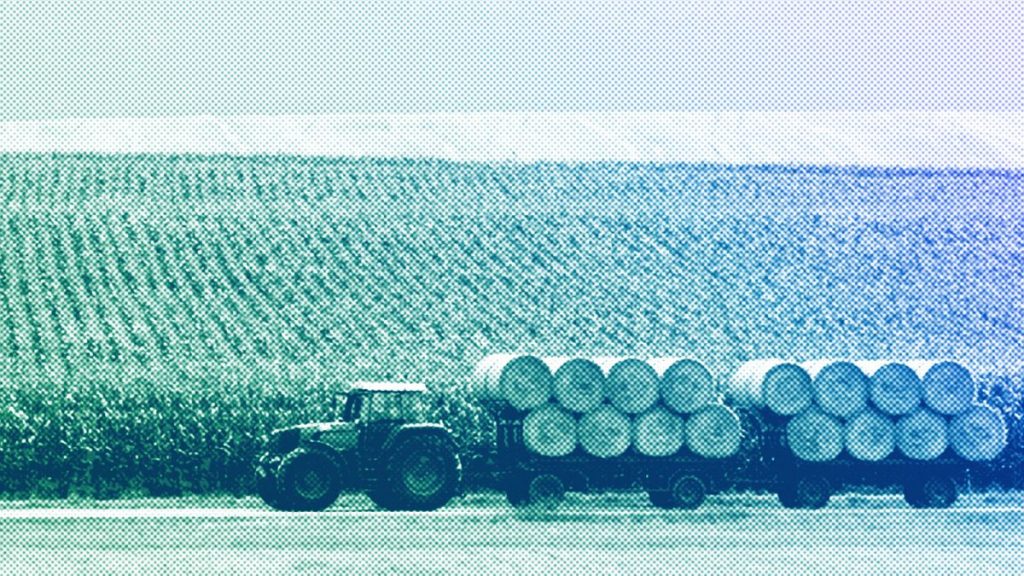 A tractor with trailers transports bales of straw from a field near Dachau, August 2009