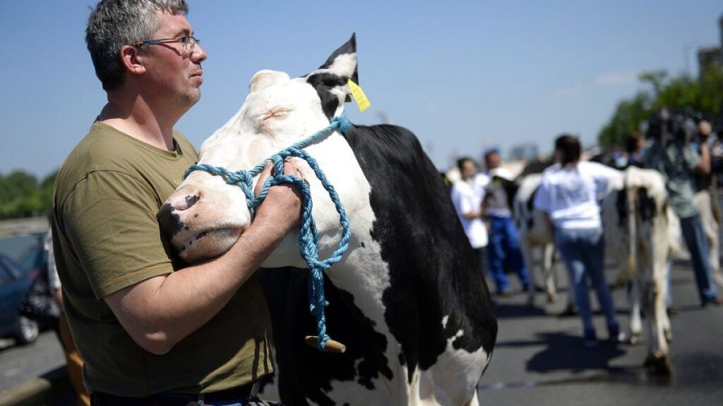 Farmers protests