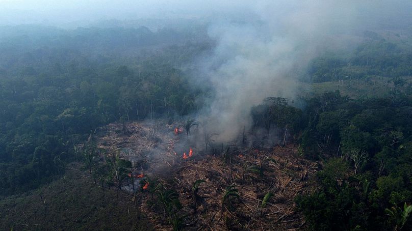 Une forêt brûle en Amazonie, dans la municipalité de Manaquiri, dans l'État brésilien d'Amazonas, en septembre 2023.