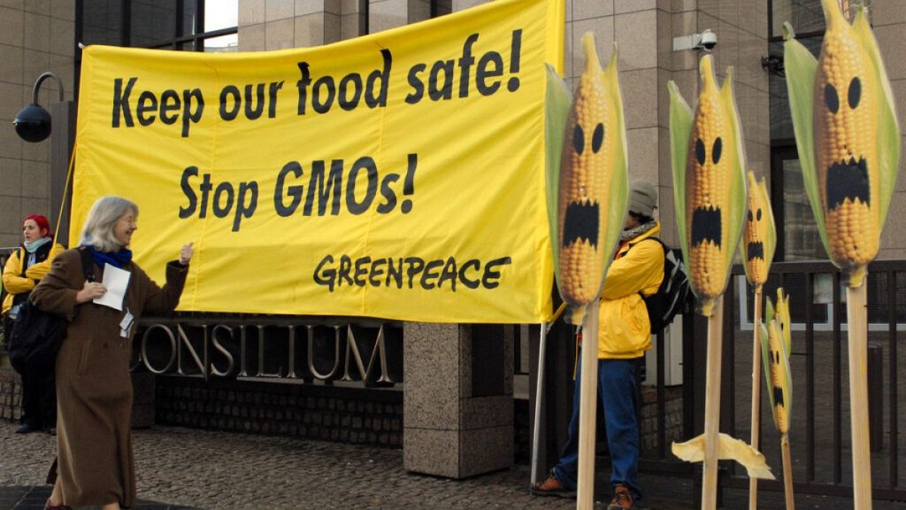 Europe has a long history of opposition to GMO crops, whose cultivation is currently banned in most EU countries.