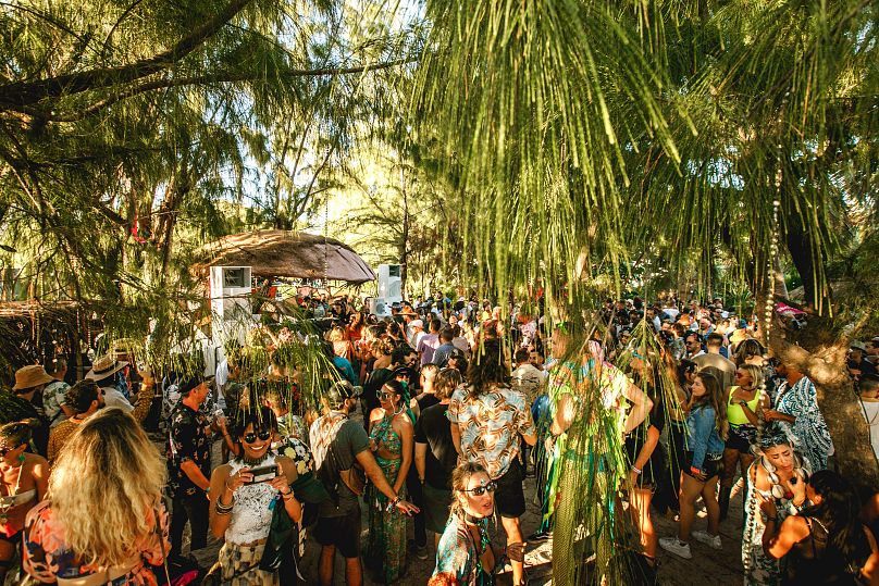 Faire la fête dans la jungle