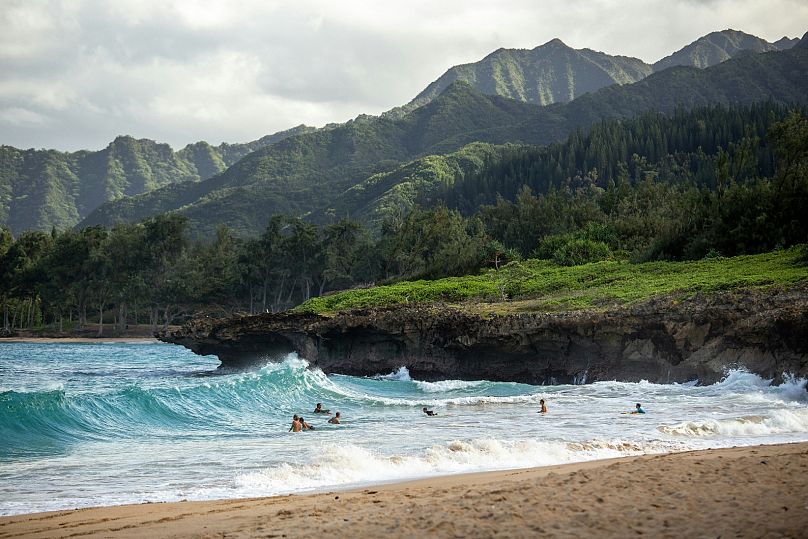 Les touristes s'ébattent dans les vagues sur l'île hawaïenne d'Oahu