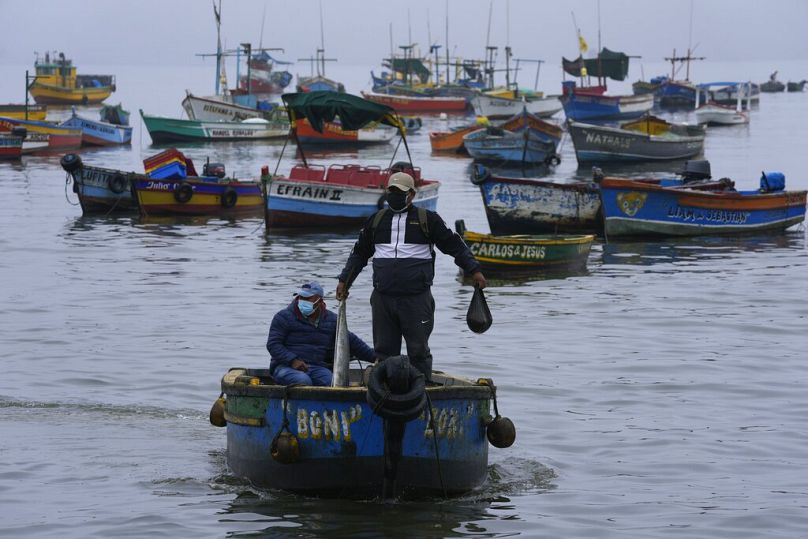 Un pêcheur tient un poisson qu'il a pêché dans des eaux contaminées par du pétrole provenant d'une marée noire, à Ancon, janvier 2022.