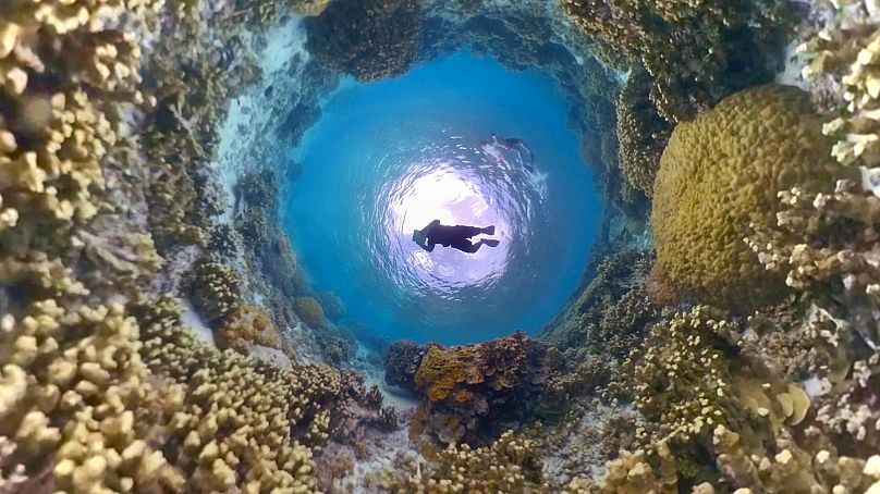 Les récifs coralliens de l'île Eneko, atoll de Majuro