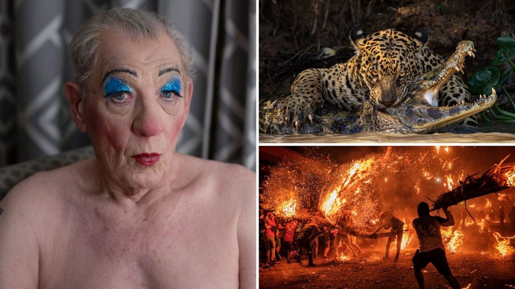 The World Photography Organisation is pleased to announce the category winners and shortlist in the Open competition of the Sony World Photography Awards 2024