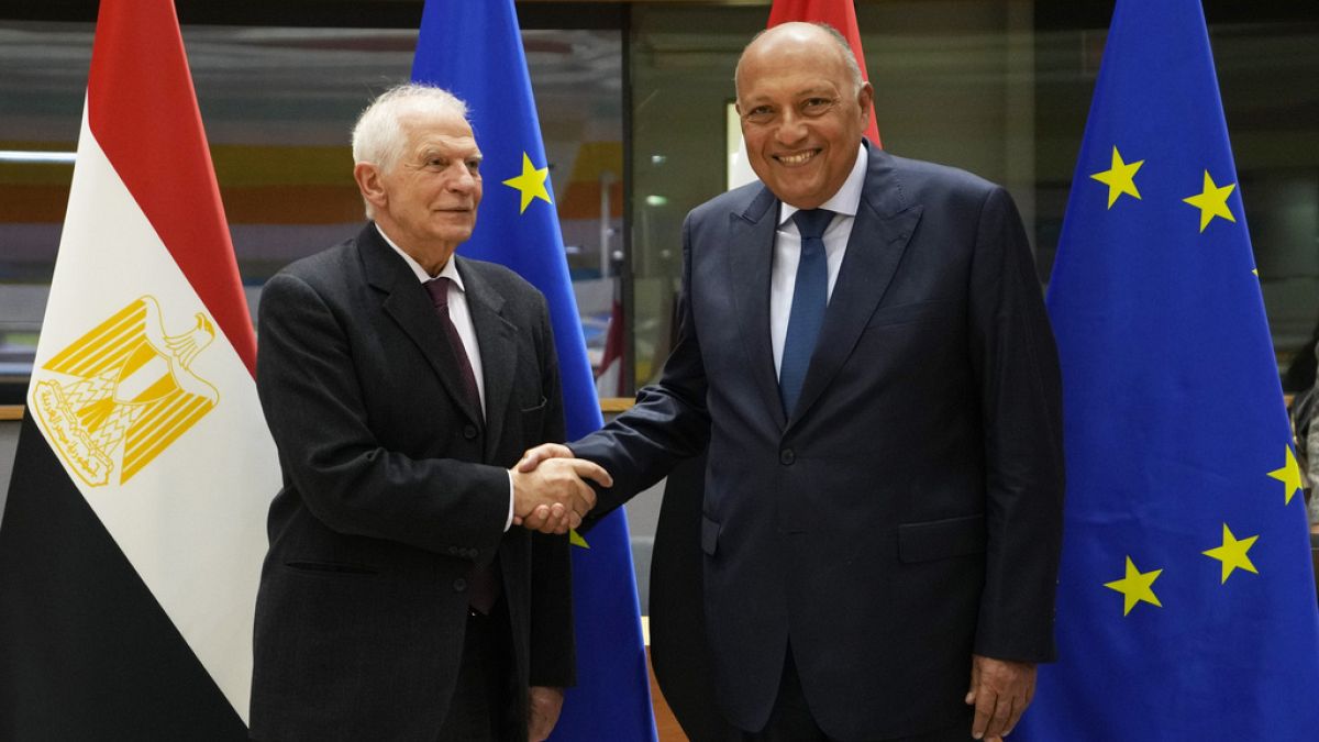 European Union foreign policy chief Josep Borrell shakes hands with Egypt
