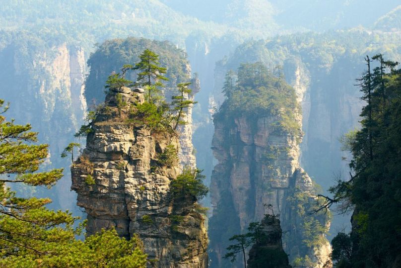Explorez les paysages surnaturels du parc forestier national de Zhangjiajie, où d'imposants piliers de grès ont inspiré les montagnes flottantes d'Avatar de James Cameron.