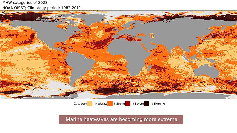 Carte mondiale montrant la catégorie de canicule marine la plus élevée dans chaque pixel sur 2023 (période de référence 1982-2011).