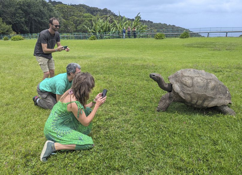 Des touristes prennent des photos de Jonathan, une tortue de 192 ans, sur la pelouse de Plantation House, sur l'île de l'Atlantique Sud.