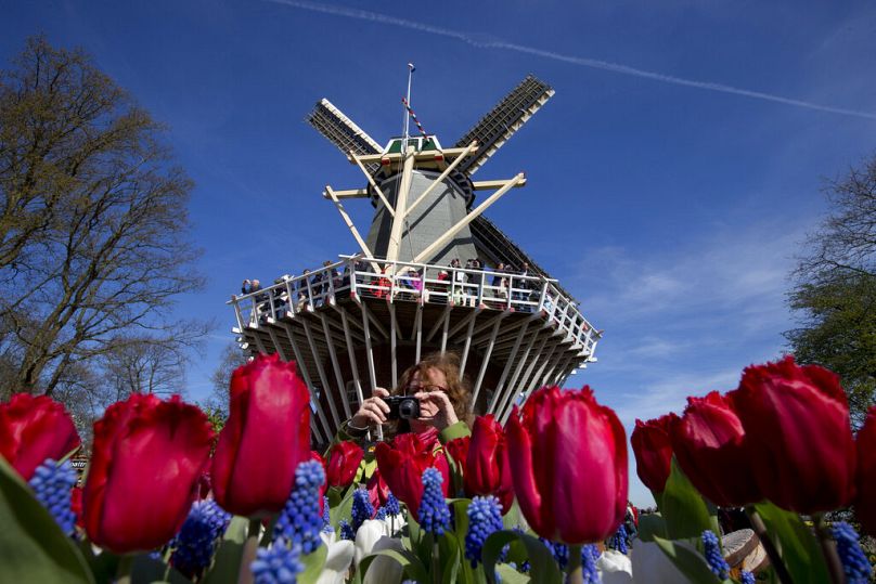 Un touriste prend des photos de tulipes en fleurs à Keukenhof, connu sous le nom de Jardin de l'Europe, un parc printanier comptant environ sept millions de bulbes de fleurs, non loin d'Amsterdam.