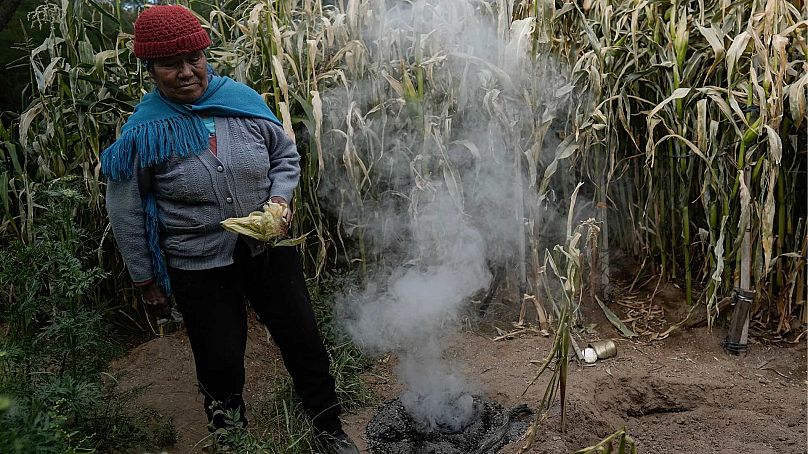 Irene Leonor Flores de Callata, 68 ans, effectue une brève cérémonie pour remercier la Terre après avoir inspecté sa récolte de maïs chez elle à Tusaquillas, province de Jujuy, Argentine.